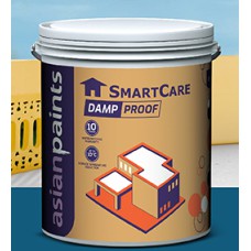 Asian Paints Smart Card Damp Proof